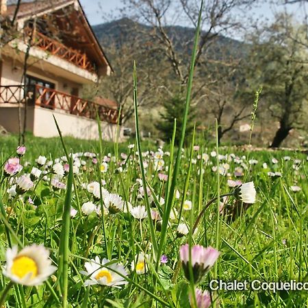 Chalet Coquelicot 卡拉维塔 外观 照片