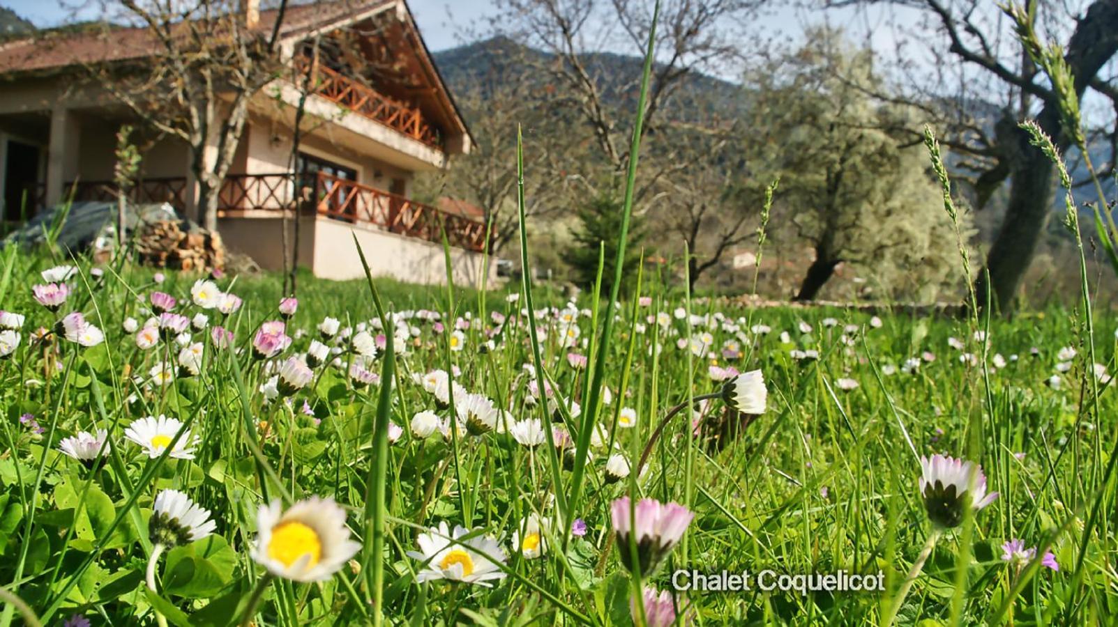 Chalet Coquelicot 卡拉维塔 外观 照片